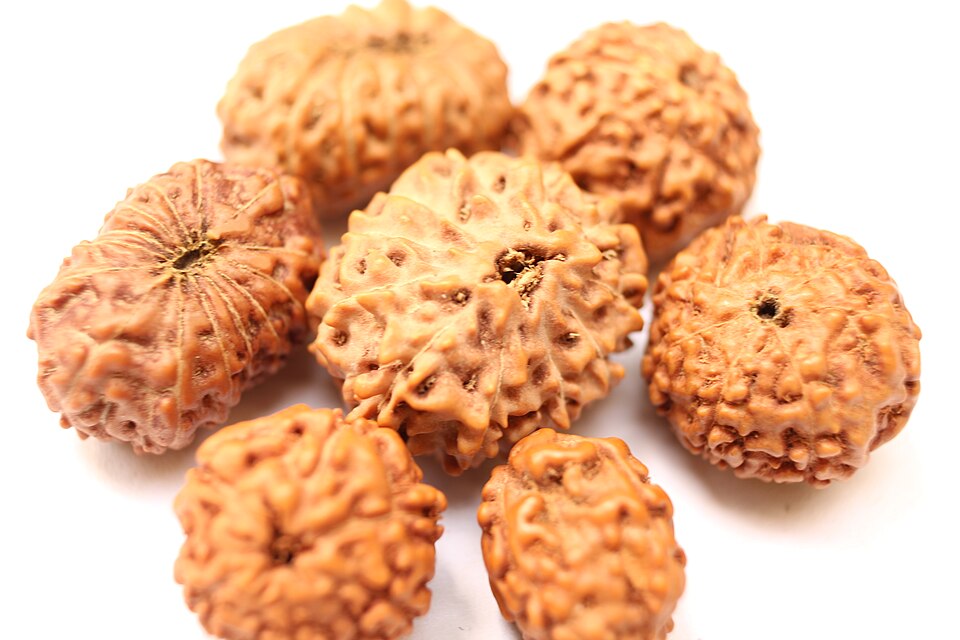 5 Mukhi Rudraksha: Meaning & Benefits