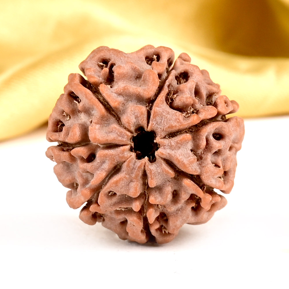 1 Mukhi Half Moon
