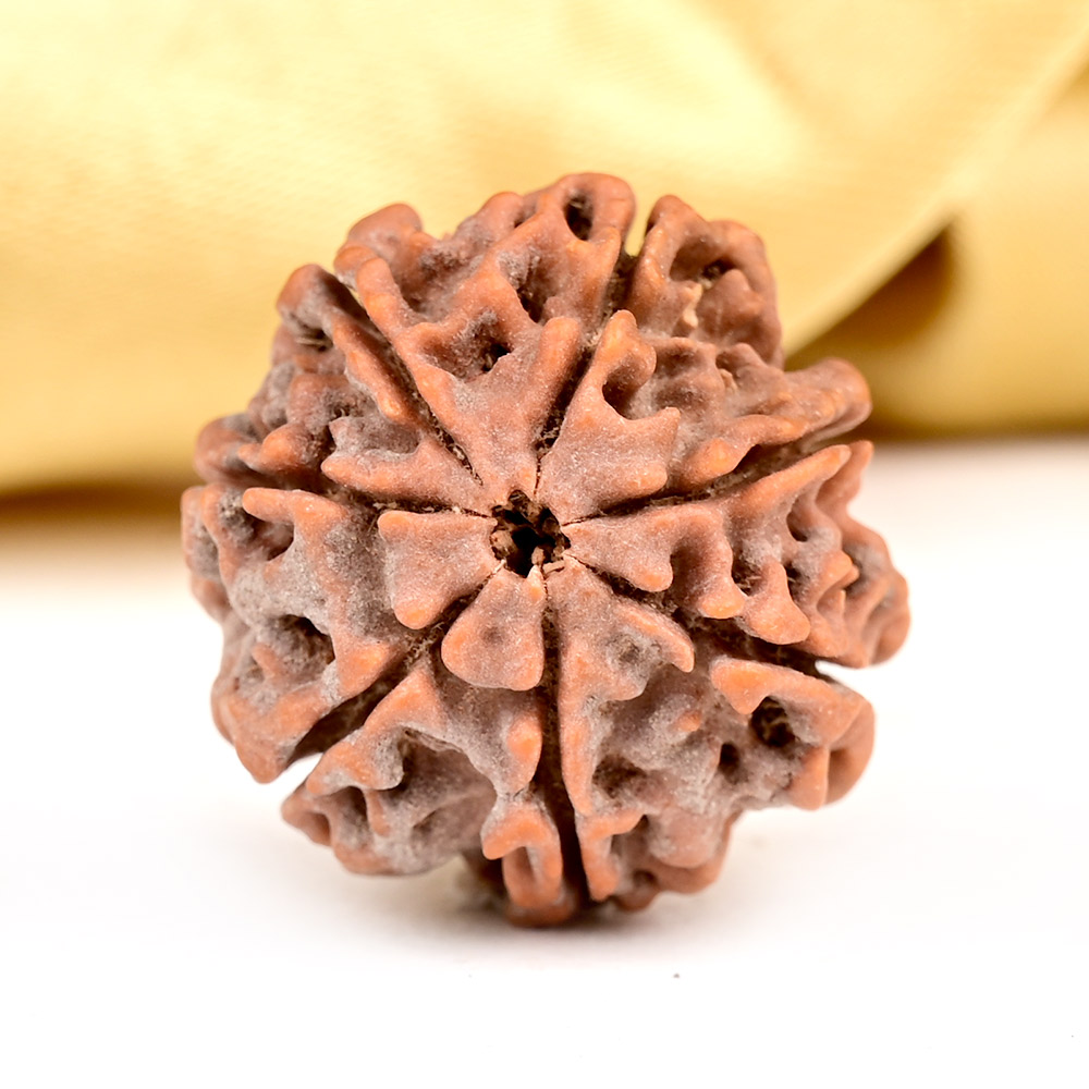 Siddha Mala Combination