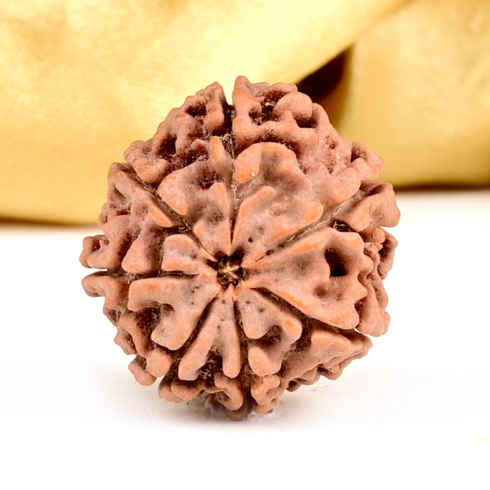 Rudraksha Bracelets