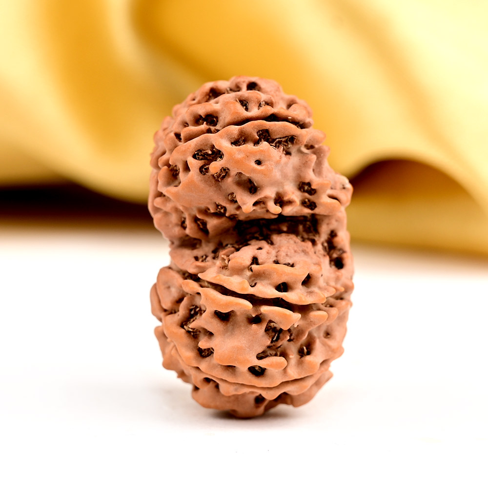 Rudraksha Malas & Kanthas